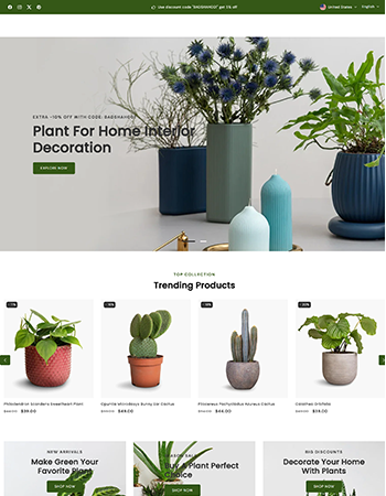 家居室内装饰用的植物