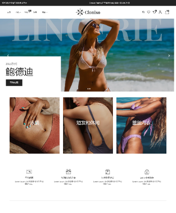 女士内衣比基尼