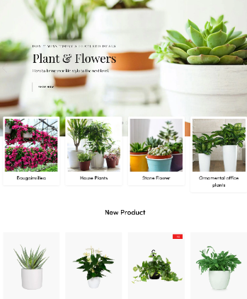 园艺、室内植物