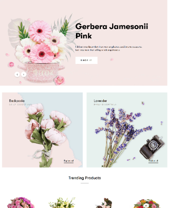 花卉植物、花店