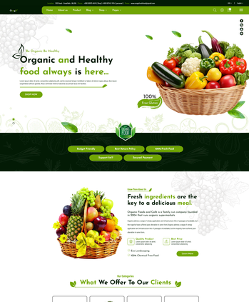 有机健康食品售卖